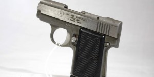 AMT Back-Up .380 stainless
